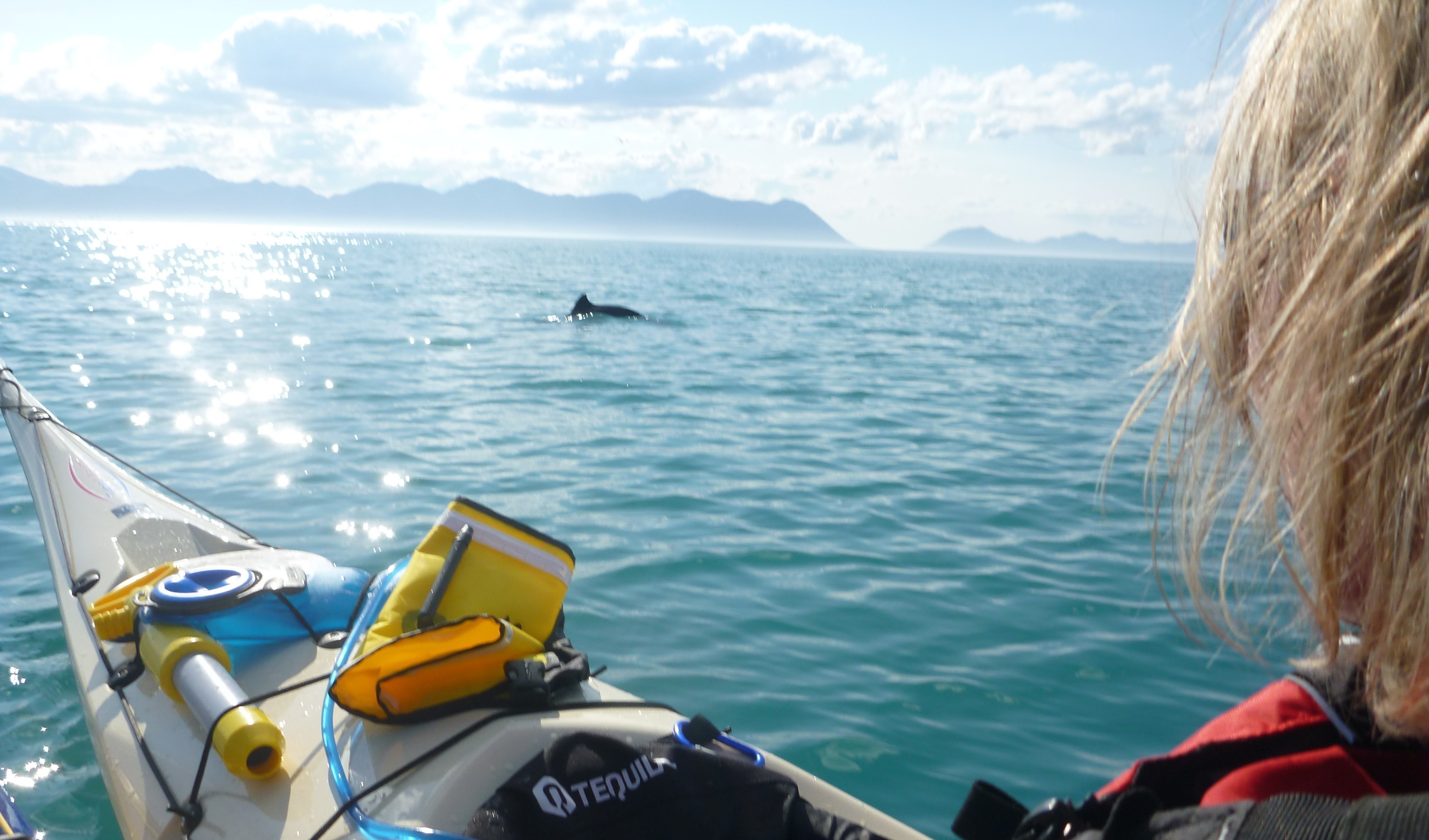 Äventyr norsk kajakpaddling och vandringstur i Harstad